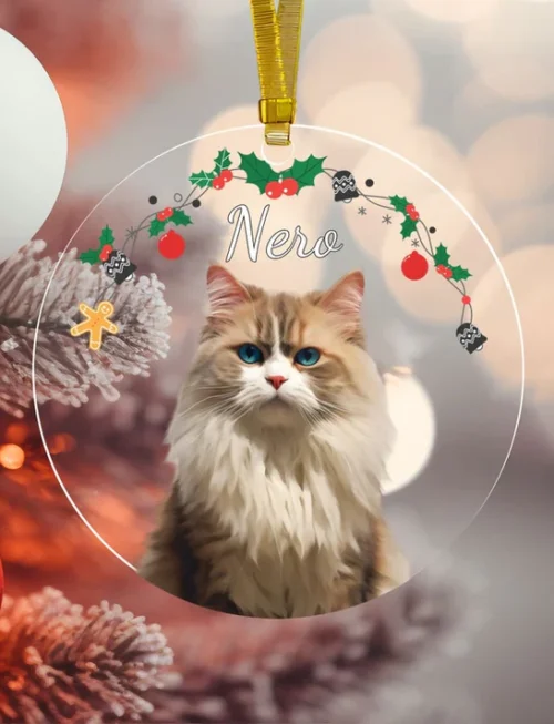 Pet Christmas Ornaments
