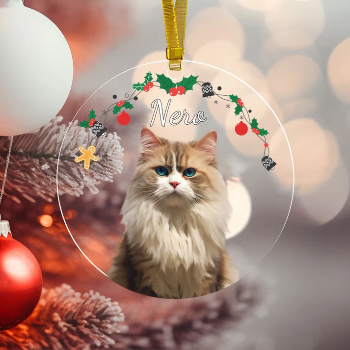 Pet Christmas Ornaments